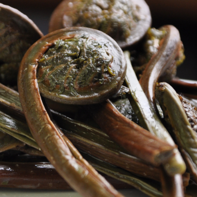 こごみぬか漬けの作り方【百選動画】